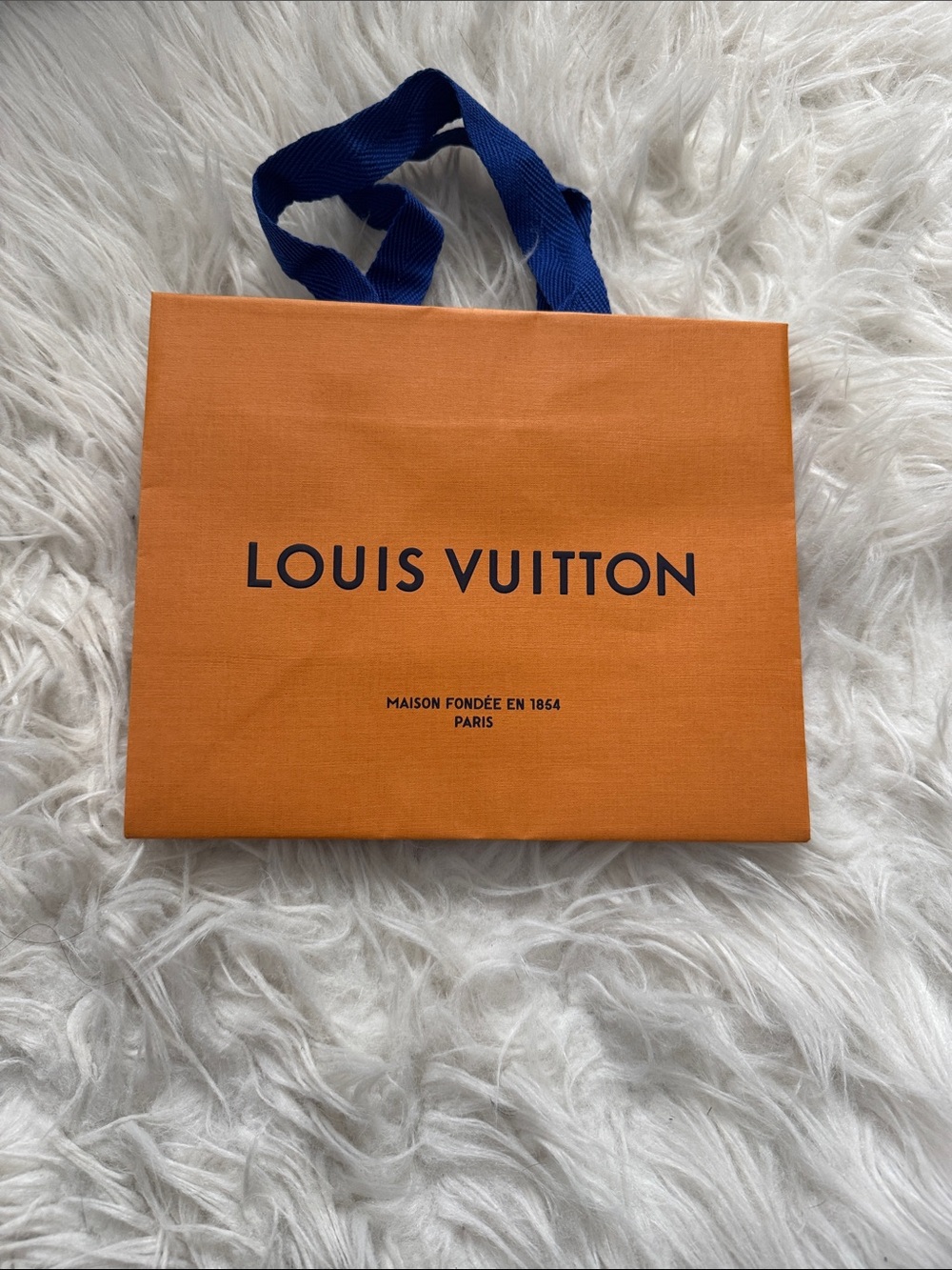 Louis Vuitton Orange and Blue Gift Bag